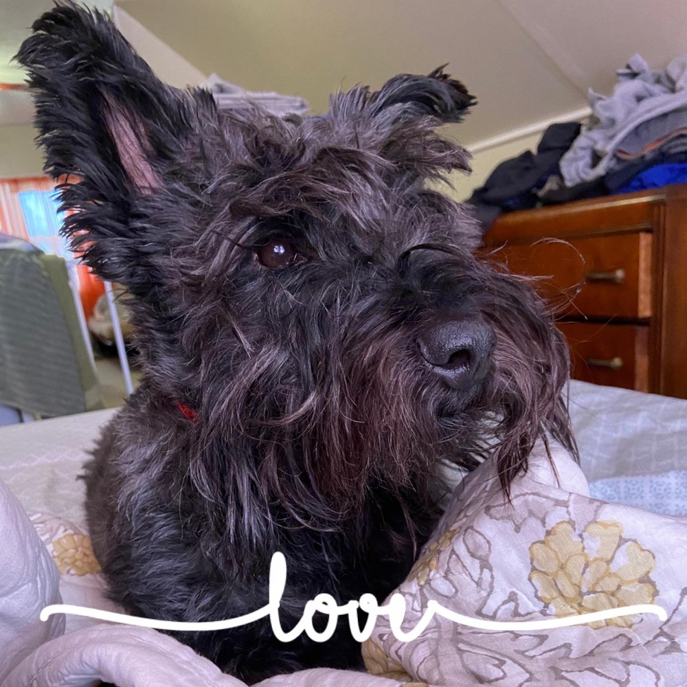 Meet your Posher, Kelly